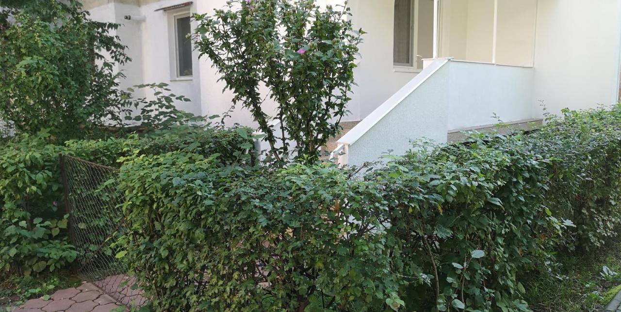 Diamond Apartment Târgu-Mureş Esterno foto