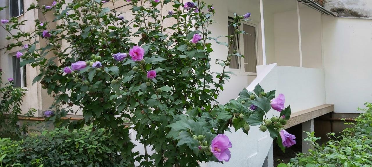 Diamond Apartment Târgu-Mureş Esterno foto